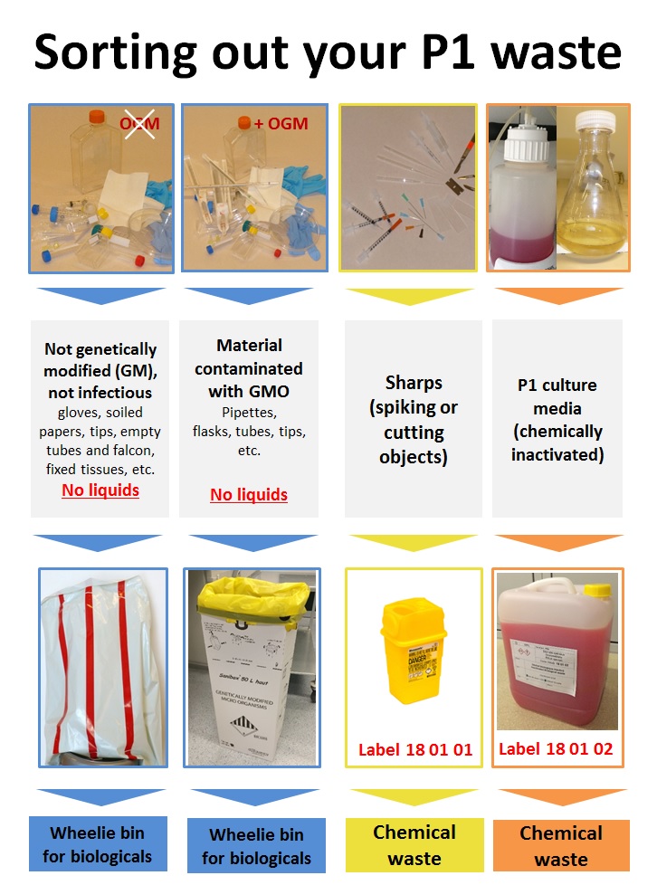 Biological waste DSPSSCC